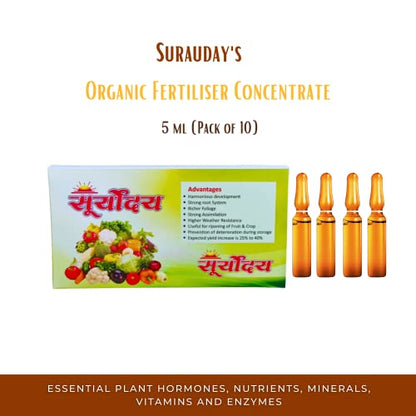 शाश्वत बागकाम सोपे केले - सेंद्रिय द्रव सीव्हीड जैव खत आणि नैसर्गिक वनस्पती संप्रेरकांसह वनस्पतींची वाढ वाढवा (३ चा पॅक)