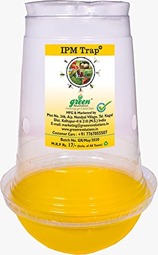 fruit fly traps 10 nos