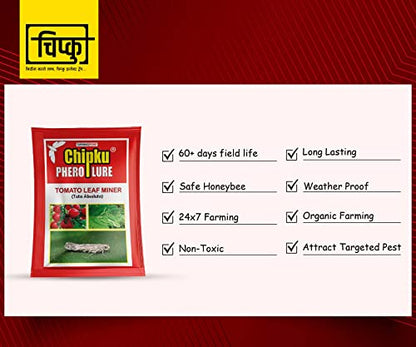 टमाटर लीफ माइनर (टूटा एब्सोल्यूटा) के लिए चिपकू-फेरोमोन ल्यूर 100 का पैक