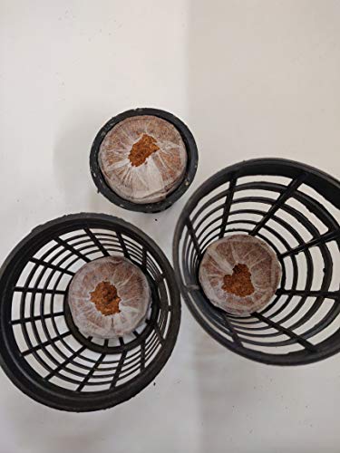 WE Hydroponics Coco Pellets 50mm -Set of 35, Jiffy Made, Soilless Germination Medium, Coco disc