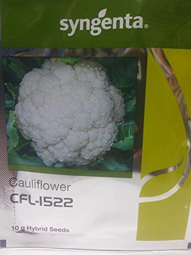 CAULIFLOWER HYBRID CFL-1522 10 GR.