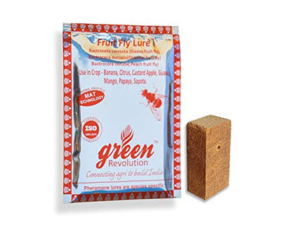 Rev Agro Fruit Fly Trapper (Pack of 10 Nos.)