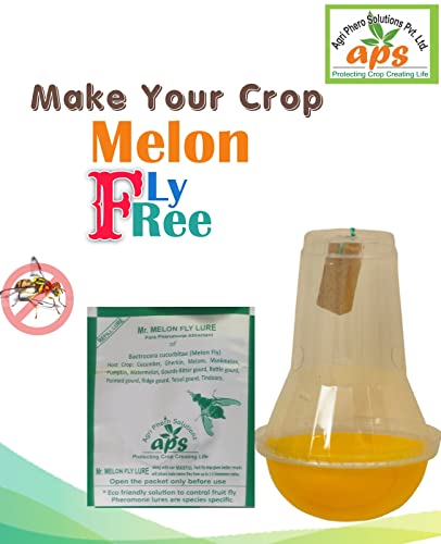 Agri Phero Solutionz मेलन फ्लाई ट्रैप बैक्ट्रोसेरा कुकुरबिटे (मेलन फ्रूट फ्लाई) के लिए ककड़ी, तरबूज, बॉटल गार्ड, बिटर गार्ड, मस्कमेलन में उपयोगी (20)
