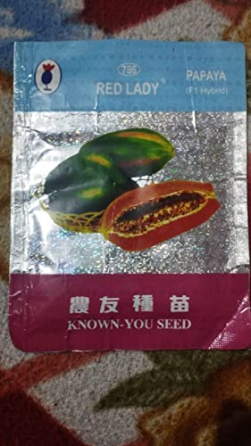 Red Lady papaya hybrid seed, 2g