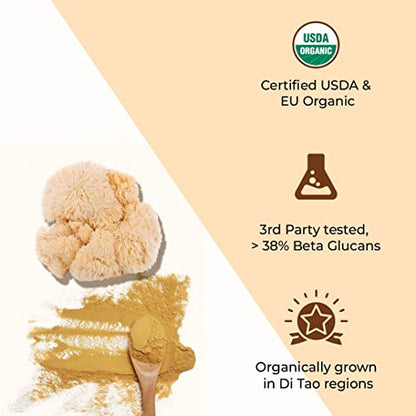 Rooted Lions Mane mushroom Extract Powder (120 gm) | Memory, Focus, Brain Powder & Nerve Health. USDA Organic, 38% Beta Glucans, Certified organic