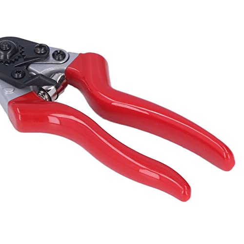 Pruning Shears, Pointed Branch Scissor for Agriculture'$