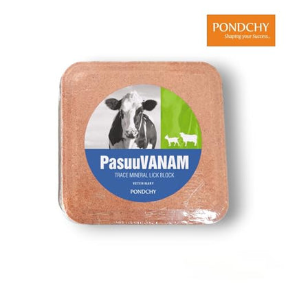 PASUUVANAM Trace Mineral Lick Block (5 KG)