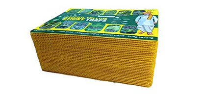 Chipku ® Yellow Non Toxic and Chemical Free Fly Trap Insect Catcher Sticky Trap Pads for Insects, Whiteflies, Aphids, Leaf Minor, Thriphs (Yellow)- 10