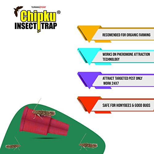 tuta absoluta lure benefits