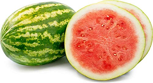 Royal Paradise Garden Rare Watermelon Fruit Seed"Red Seedless" Exotic 10 Fruit seeds for Growing