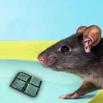 PCI Roban The Rat Killer Cake(Pack of 5)