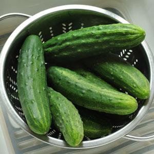Go Green Cucumber Beit Alpha Salad Cucumber - 30 Seeds
