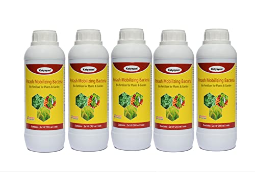 Katyayani Potassium Mobilizing Bacteria PMB Bio Fertilizer ( 5 x 10*8 CFU ml/min ) for all Plants and Home Garden Potassium Provider Eco Friendly Liquid fixing Bacteria Recommended by NPOP for Organic Farming (5 Litre)