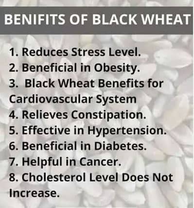 Black Wheat Flour,Naturaly Grown, Anti-Oxidant, Low Gluten,Rich in Micro-nutrients, High Dietary Fiber & Protien(500 Grams)