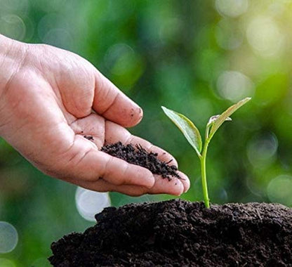 Evergrow Cow Dung Compost Fertilizer Manure for Plants Organic Fertilizer Natural Fresh Plant Garden Cow Compost (Pack of 1 KG)