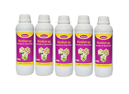 Katyayani Rhizobium Spp Bio Fertilizer | Nitrogen Fixing Bacteria for Plants | ( 5 X 10*8 Cfu / Ml . Min ) | For Home Garden, Terrace Garden , Nursery , Greenhouse & for Agricultural Purposes | 5L | 1000ml x 5 |