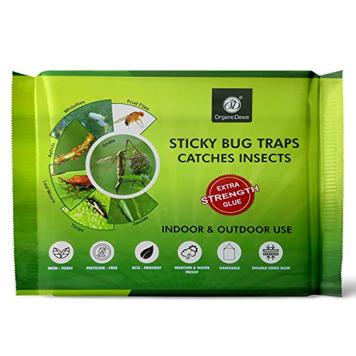 OrganicDews Yellow Double Sided Sticky Glue Bug Trap (8X6 Inches - 10 Traps) with Twist Tie - Flying Insects, Gnats, Thrips, Fruit Flies - Indoor and Outdoor (Pack of 10 Traps)