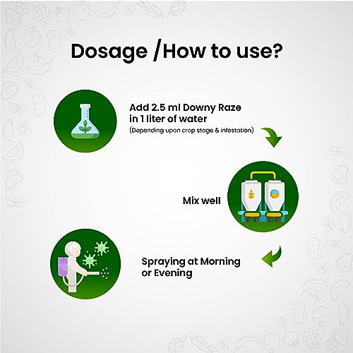 downy mildew treatment dose