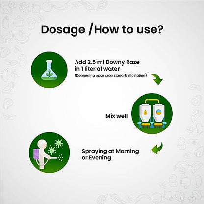downy mildew treatment dose