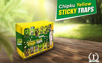 Chipku ®Yellow Sticky Fly Traps (Pack of 5 Pieces)-for Whiteflies, Thriphs, & Other Flying Insect