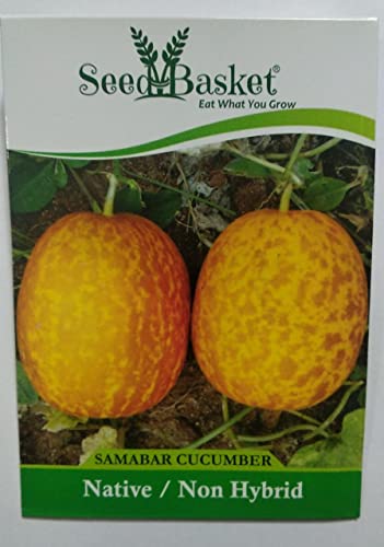 Native/Non-GMO Cucumber Seeds for Gardening (50+ Seeds with More than 70% Germination) And Instruction Manual (Keera Cucumber)