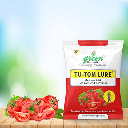 Pheromone Lure for Tomato Leaf Miner (Tuta absoluta) with Water Trap Pack of 2