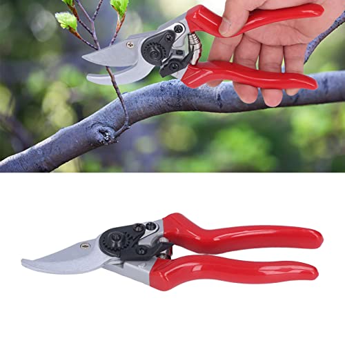 Pruning Shears, Pointed Branch Scissor for Agriculture'$