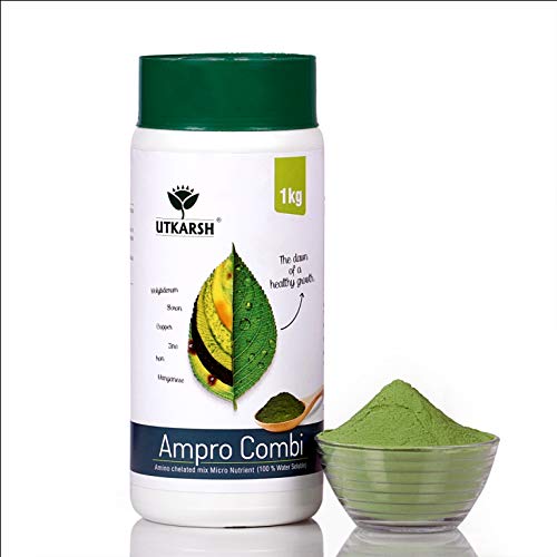 Ampro Combi  (500gm) (Set of 2)
