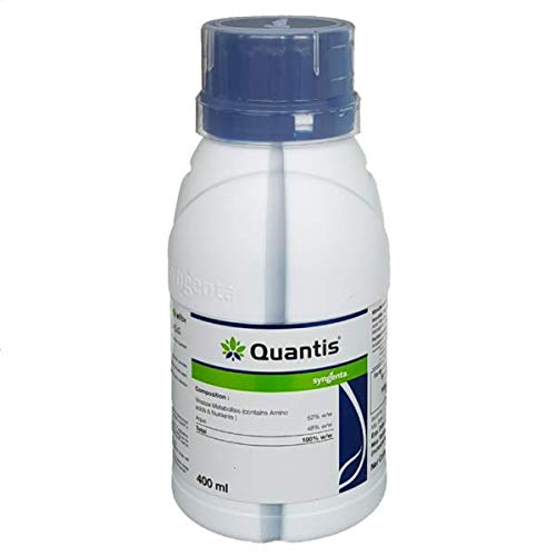 syngenta quantis