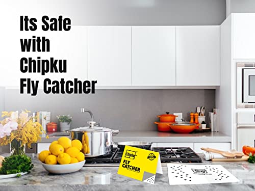 fly catcher is safe for home