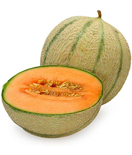 muskmelon good for pregnancy