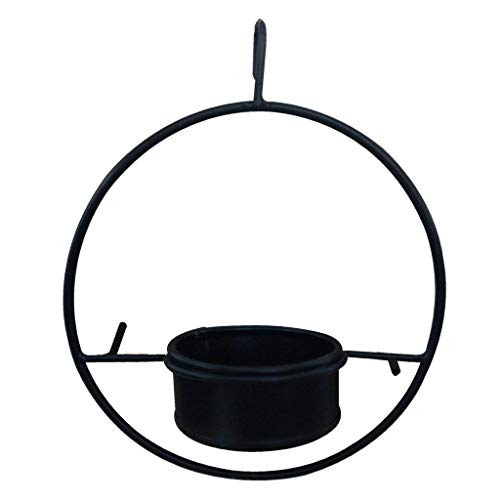 TrustBasket Bird Feeder – Garden Bird Feeder,Hanging Metal Feeder for Balcony,Home,Indoor and Outdoor(Black)