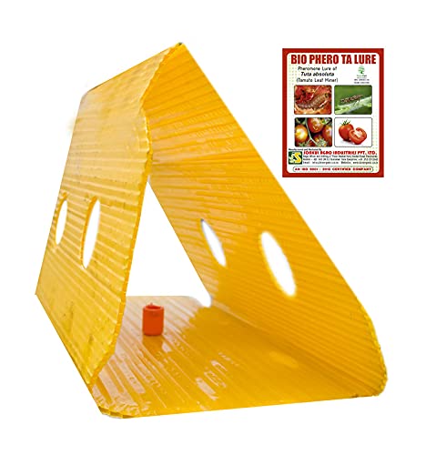 leaf miner lure with delta trap