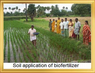 IAgriFar पीएसबी 500 एमएल