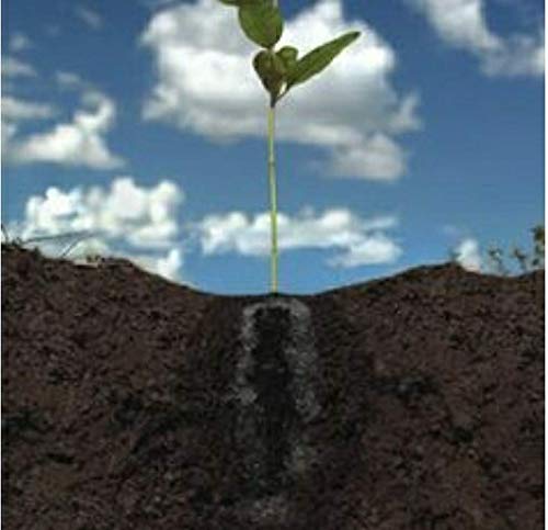 super absorbent polymer for agriculture