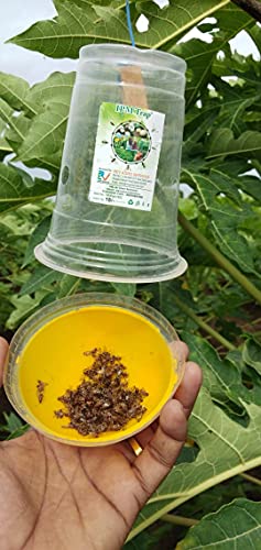 Rev Agro Fruit Fly Trapper (Pack of 10 Nos.)
