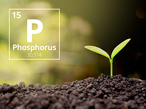 Nature Friend Phosphate Rich Organic Manure (PROM) Organic Fertlizer for plants - 7 Kg
