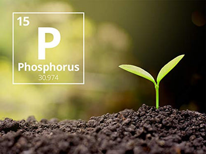Nature Friend Phosphate Rich Organic Manure (PROM) Organic Fertlizer for plants - 7 Kg