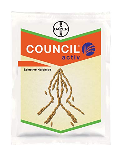 काउंसिल एक्टिव 45g