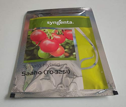 Syngenta Saaho (TO-3251) Hybrid Tomato seeds, 3500SD packing