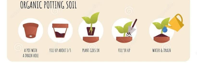 SDF INDIA Mix Potting Soil for Plants-30KG Soil Less All Purpose Ready to use Potting Mix Made with vermicompost/Neem Cake/Potash/River Sand/Bone Meal (30 KG)