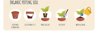 SDF INDIA Mix Potting Soil for Plants-30KG Soil Less All Purpose Ready to use Potting Mix Made with vermicompost/Neem Cake/Potash/River Sand/Bone Meal (30 KG)