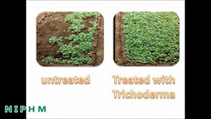 Organic Trichoderma Viride 400gm - Kerala Agro Organics