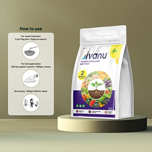 Jivanu (Potassium Solubilizing and Mobilizing Bacteria – KSB/KMB) Bio-Fertilizers (500 Gram)