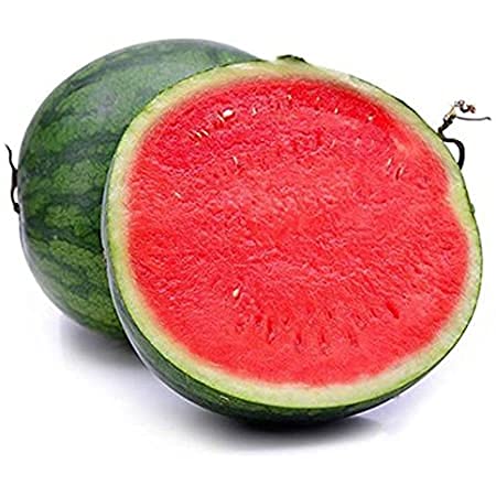 Royal Paradise Garden Rare Watermelon Fruit Seed"Red Seedless" Exotic 10 Fruit seeds for Growing