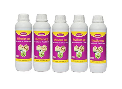 Katyayani Rhizobium Spp Bio Fertilizer | Nitrogen Fixing Bacteria for Plants | ( 5 X 10*8 Cfu / Ml . Min ) | For Home Garden, Terrace Garden , Nursery , Greenhouse & for Agricultural Purposes | 5L | 1000ml x 5 |