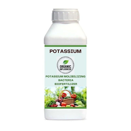 POTASSIUM BIOFERTILIZER - POTASSIUM MOLIBILIZING BACTERIA -ORGANIC FERTILIZER