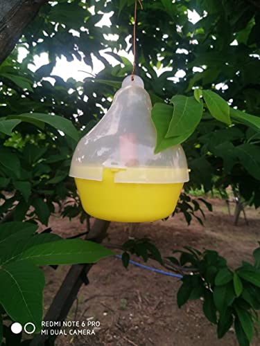Mac Phill Insect pheromone Trap Used for Melon Fly & Fruit Fly Trap, Reusable, lon Lasting (2)