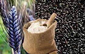 BAJ'S Presents Black Wheat | Whole Grain | Chemical Free | Gluten Free | Kaala Gehu | 1 kg