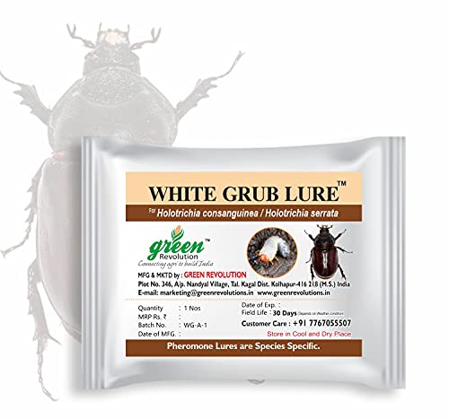 White Grub Lure – Nature's Trap for a Bountiful Harvest